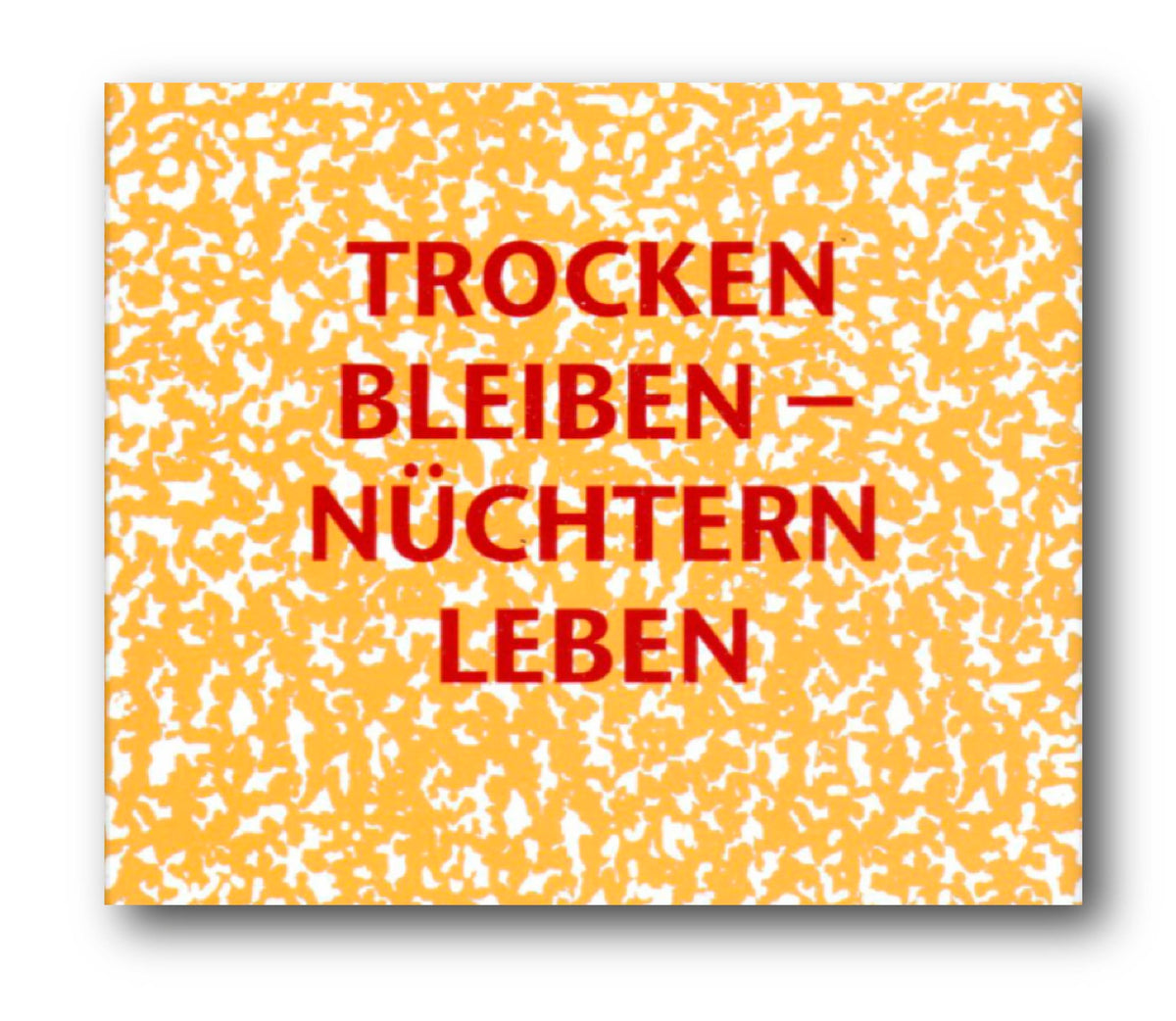 Trocken bleiben - Nüchtern leben (gesprochen auf 4 CDs)